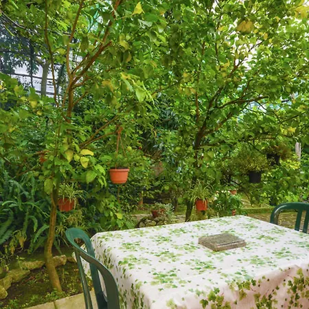 Holiday home Comfortable House With Sea View In *